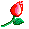 :rose: :rose: